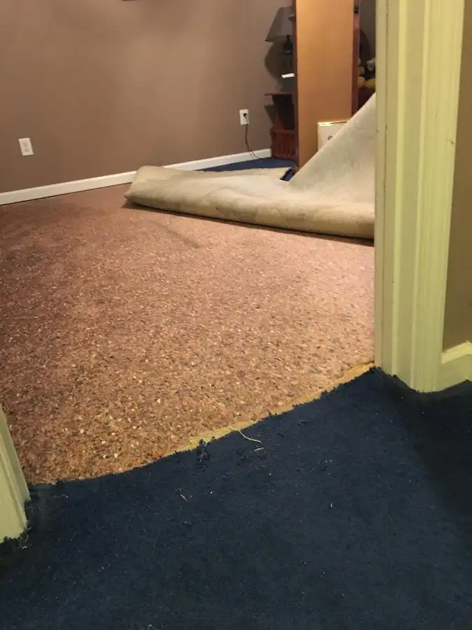 Carpet pad removal revealing water damage during Water Mitigation Services in South Charleston